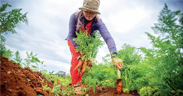 Modern slavery resources