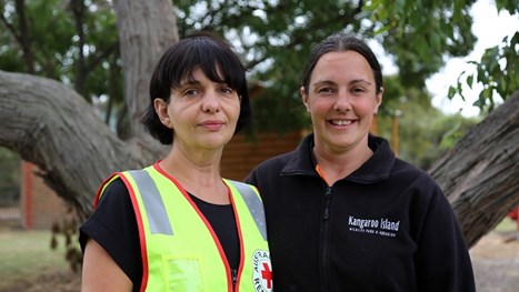 Complete Mental Health First Aid Training