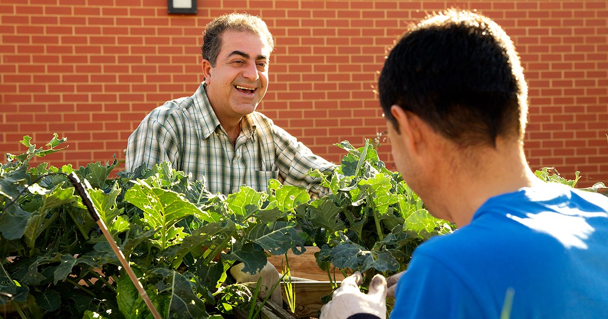 Sharing expertise in the community