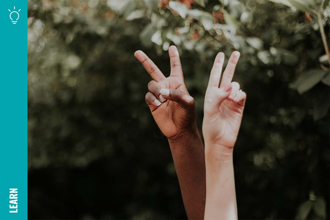 Two hands making the peace sign.