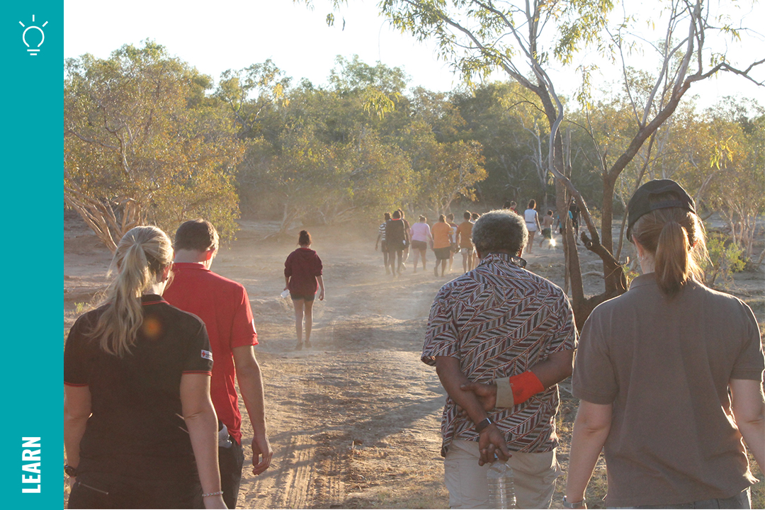 A group of people walking along a bush track at dusk