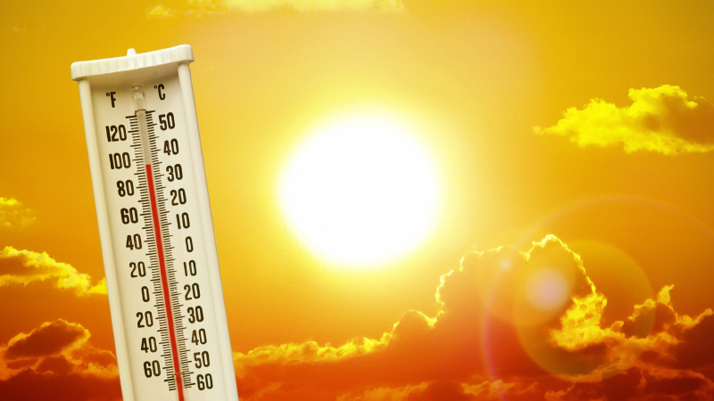 How to prepare for a heatwave fact sheet