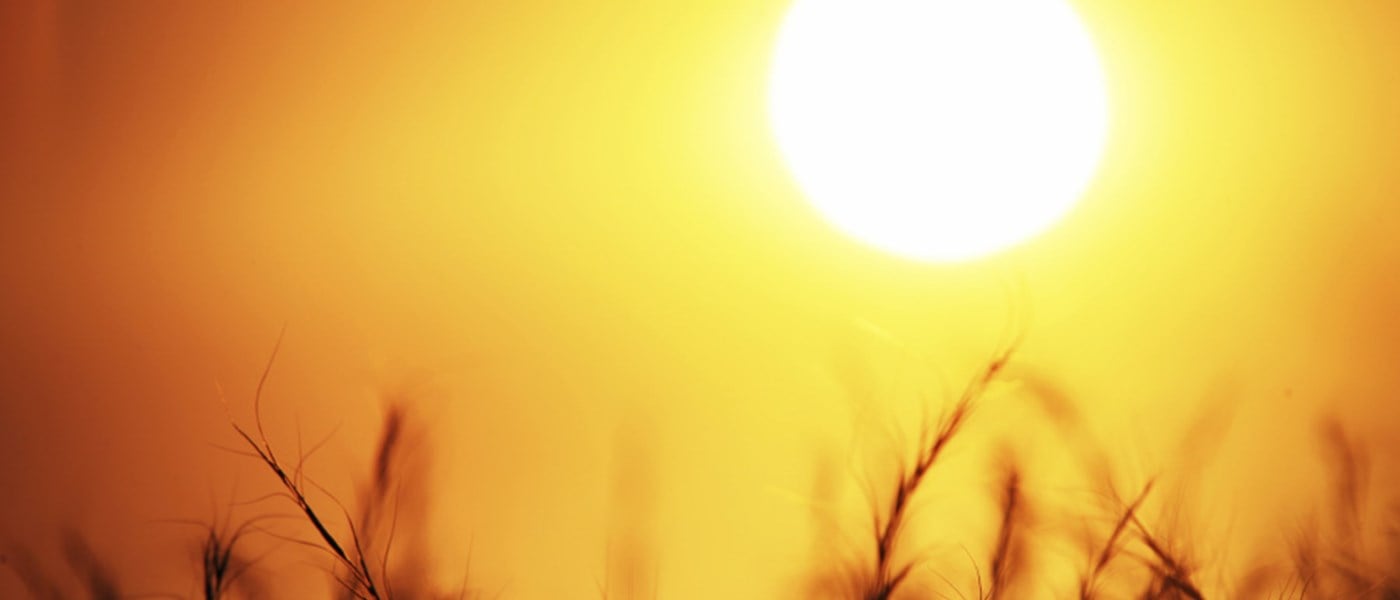 Heatwaves and hot weather