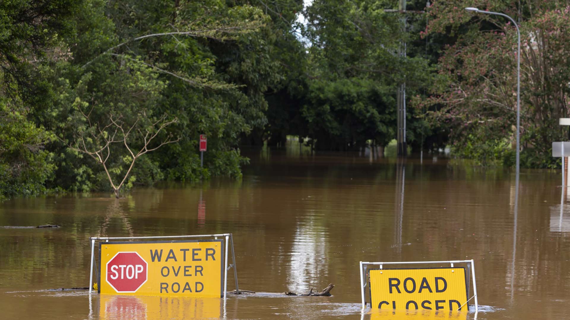 Cyclone Alfred Appeal