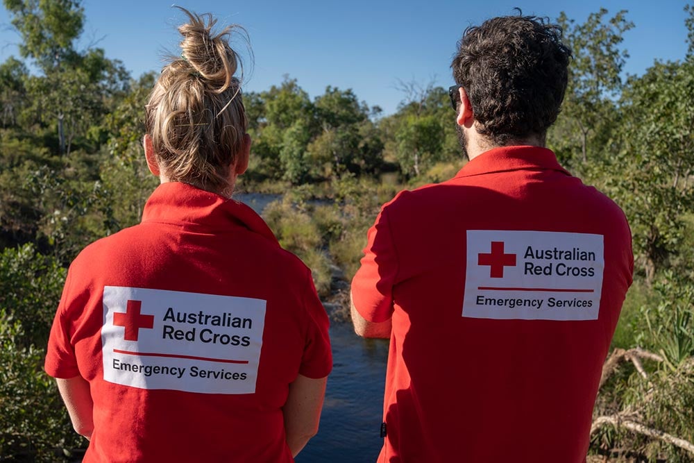Disaster recovery mentors